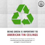 Made in the USA American Tin Ceilings 2-ft x 2-ft Unfinished Steel Surface-mount Ceiling Tile (5-Pack, 20-sq ft / Case)