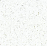 Armstrong Flooring Imperial Texture VCT Cool White 12-in x 12-in Commercial Vinyl Tile