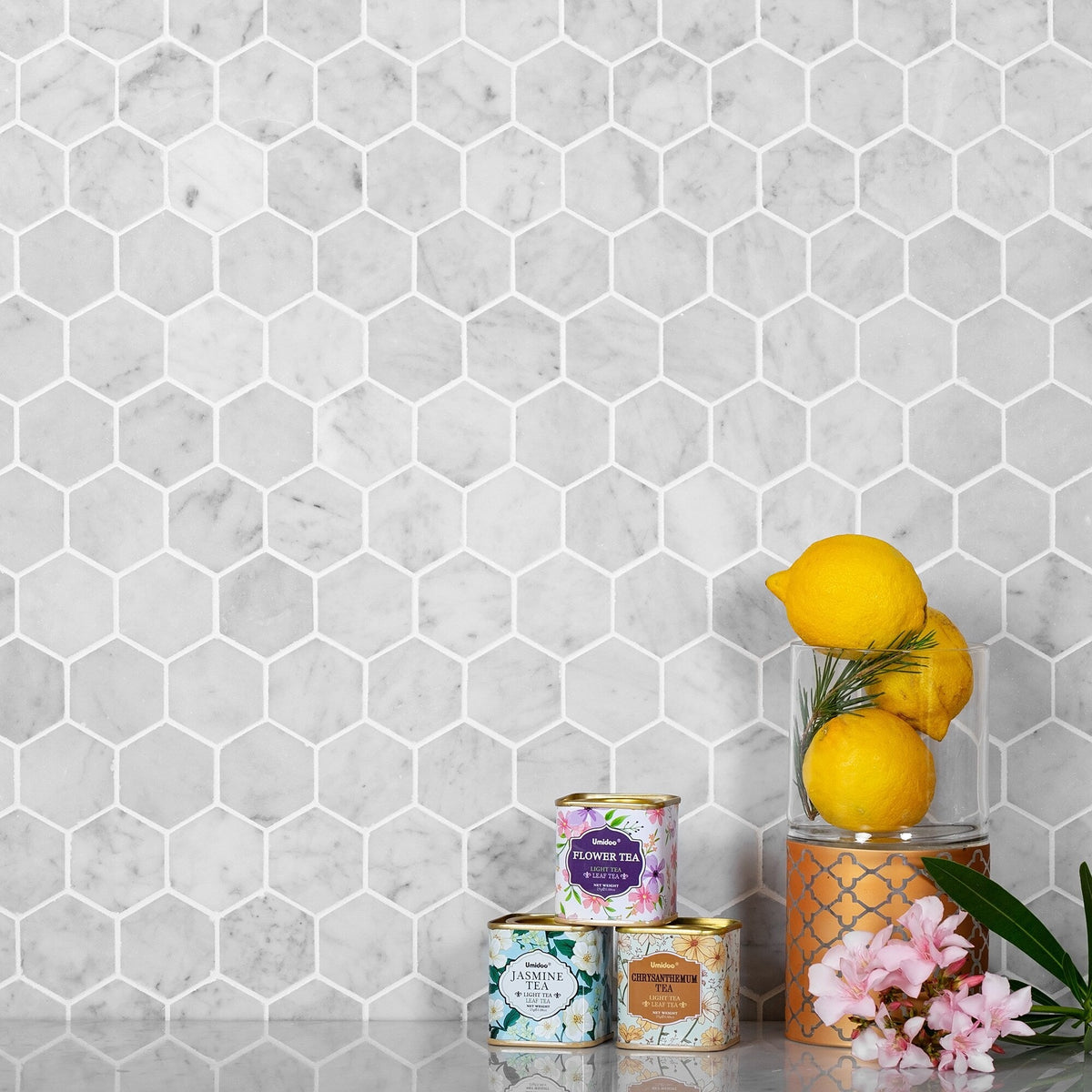 Apollo Tile White 12-in x 12-in Honed Natural Stone Marble Hexagon Marble Look Floor and Wall Tile (4.83-sq. ft/ Carton)