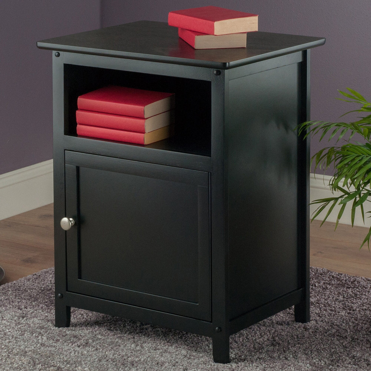 Winsome Wood Transitional Black Wood Nightstand with Storage Cabinet and Tapered Legs