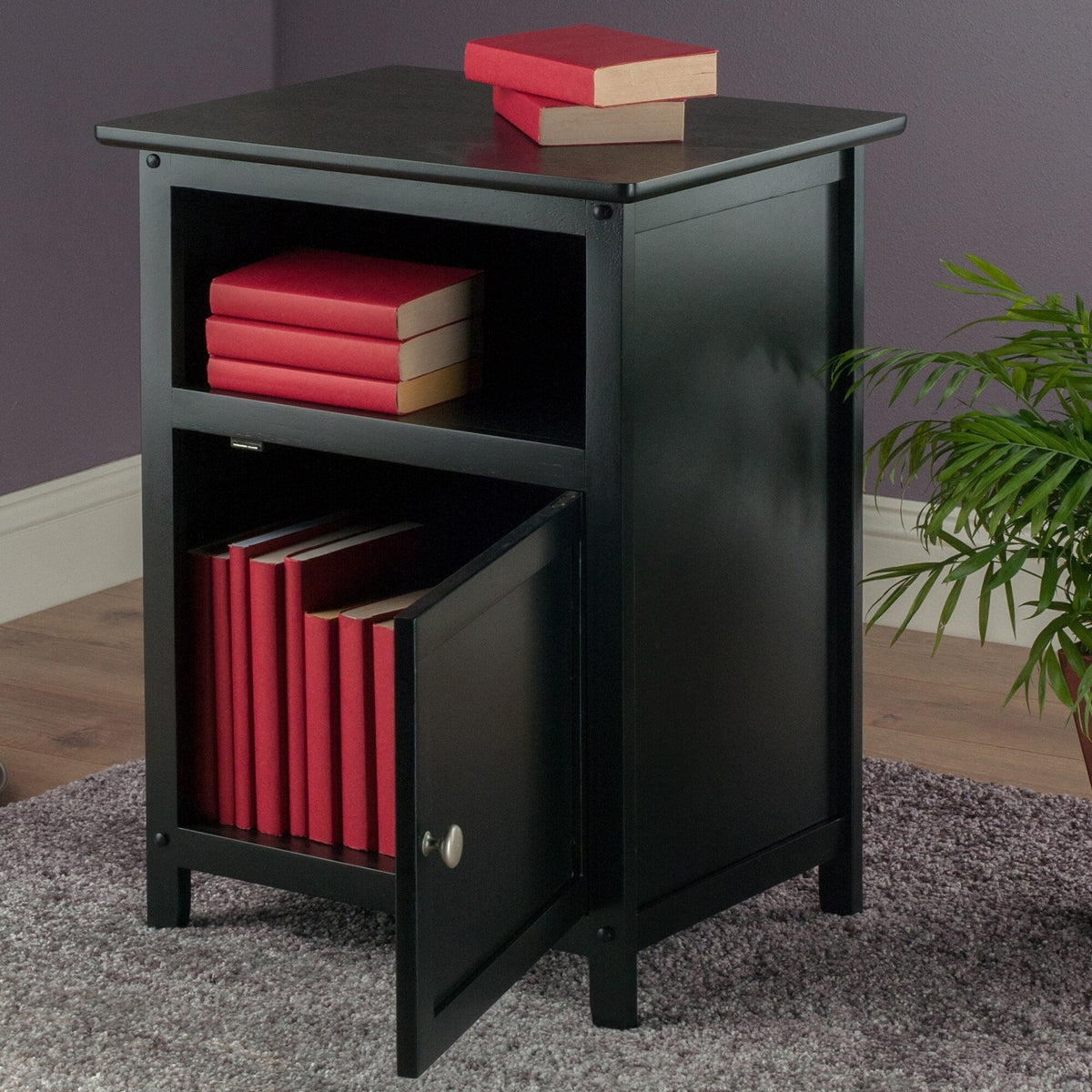Winsome Wood Transitional Black Wood Nightstand with Storage Cabinet and Tapered Legs