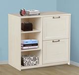 Saint Birch Salisbury Antique White 2-Drawer 31.5-in File Cabinet