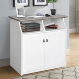 Saint Birch Finley White 2-Shelf Office Cabinet