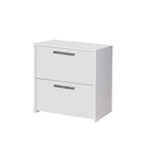 Saint Birch Miami White 2-Drawer 31-in File Cabinet