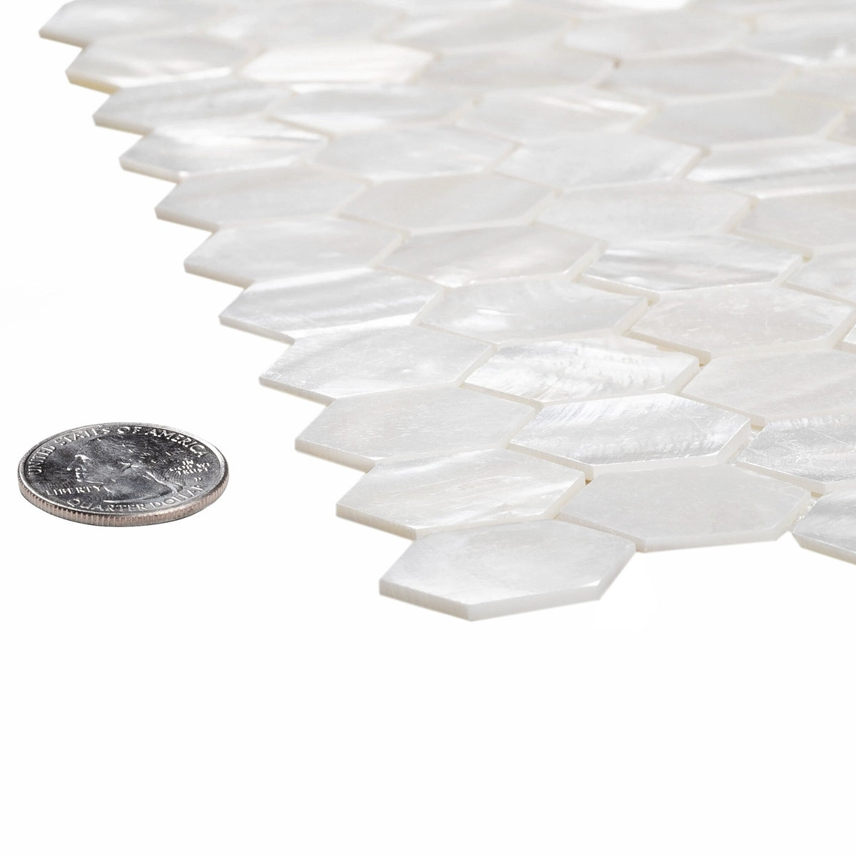 Apollo Tile White 12-in x 12-in Polished Natural Shell Hexagon Brick Look Floor and Wall Tile (18.69-sq. ft/ Carton)