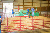 Tarter 6-ft H x 4-ft W Red Powder Coat Steel Corral Flat-top Farm Fence Gate