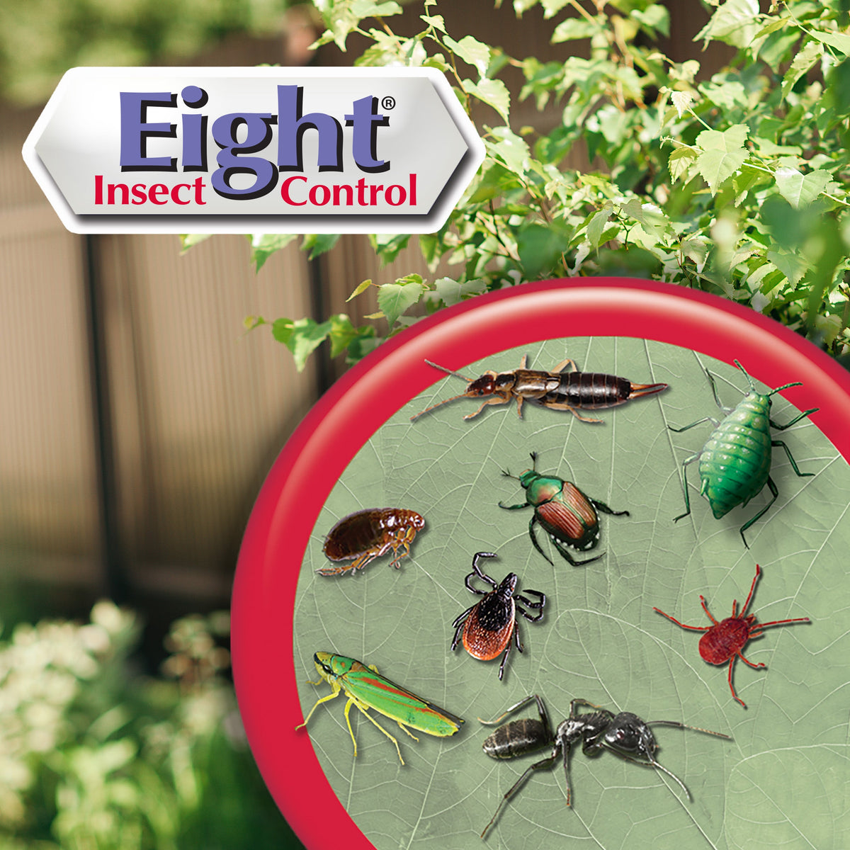 Bonide Eight Yard & Garden Liquid Insect Killer, Ready-to-Spray, 32 oz