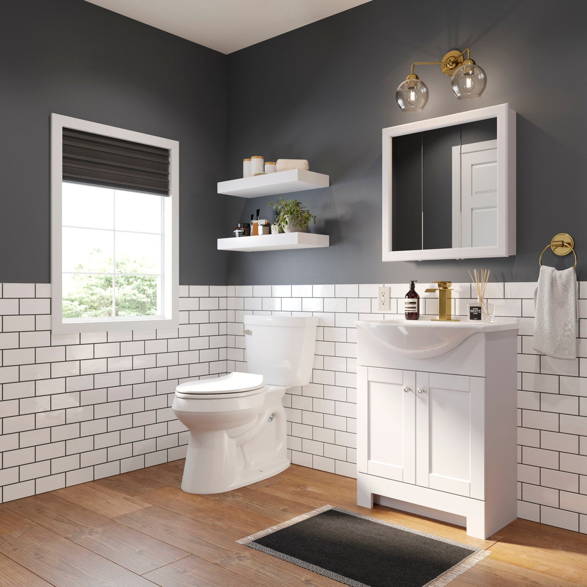 Project Source 24.25-in x 24-in Surface Mount White Mirrored Medicine Cabinet