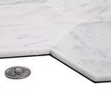 Apollo Tile (Sample) White 4-in x 4-in Polished Marble Wall Tile