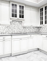 Satori Carrara 12-in x 12-in Multi-finish Natural Stone Look Hexagon Mosaic Floor and Wall Tile (0.96-sq. ft/ Piece)