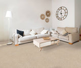 STAINMASTER Essentials Blue Diamonds III 12-ft Dreamy Textured Carpet Sample (Interior)