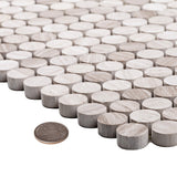 Apollo Tile Gray 11-in x 12-in Polished Wood Honeycomb Wood Look Floor and Wall Tile (4.83-sq. ft/ Carton)