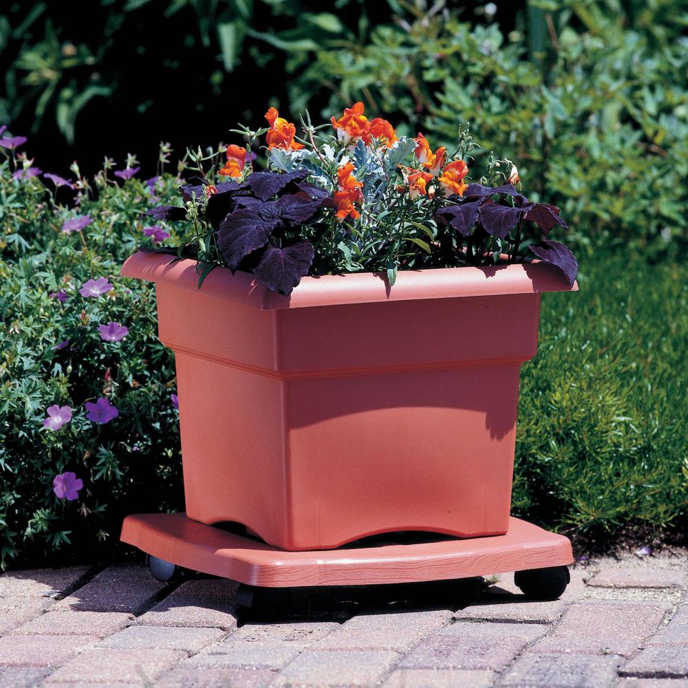 Bloem 2.5 in. H x 15 in. W Resin Plant Caddy Terracotta Clay