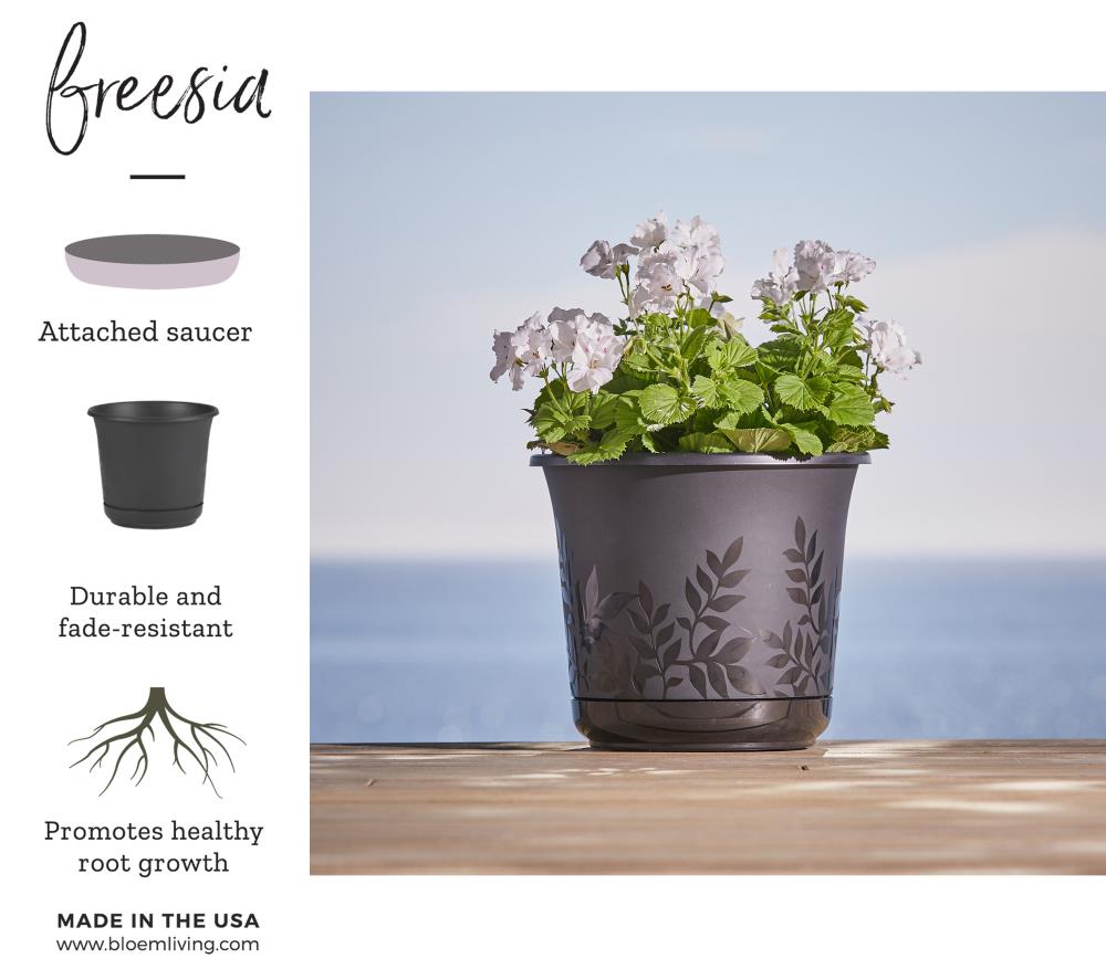 Bloem Llc FP1600 16" Black Freesia Planter