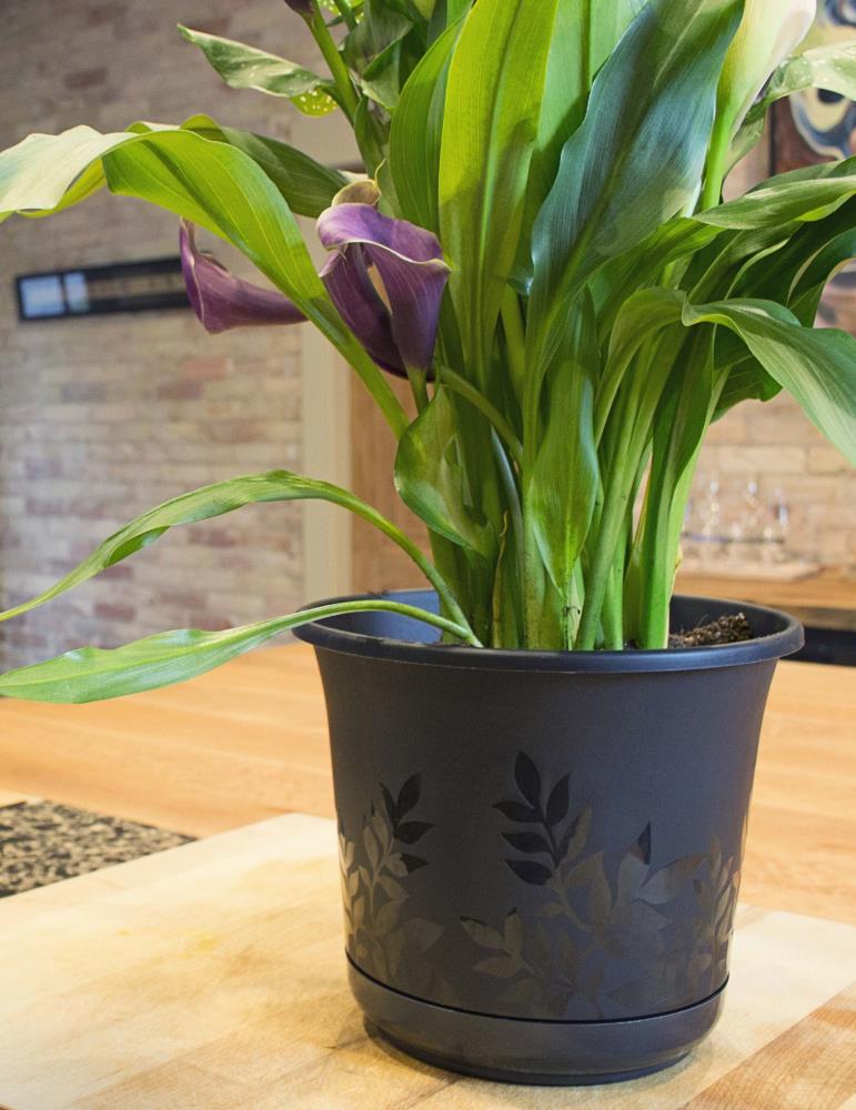 Bloem Llc FP1600 16" Black Freesia Planter