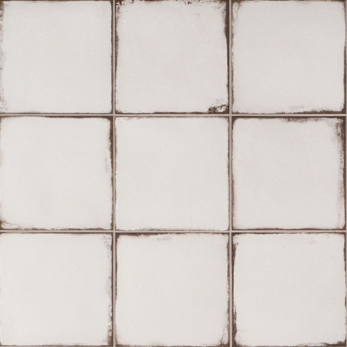 Artmore Tile Coronado White 8-in x 8-in Matte Porcelain Encaustic Floor and Wall Tile product image