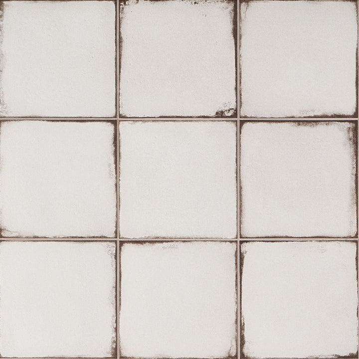 Artmore Tile Coronado White 8-in x 8-in Matte Porcelain Encaustic Floor and Wall Tile product image