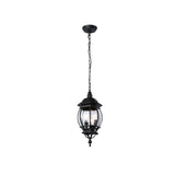 Portfolio Black Traditional Clear Glass Globe Outdoor Hanging Pendant Light, 3-Light, 20.67-in H x 8.43-in W