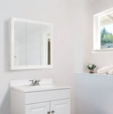 Design House Wyndham 24-in x 24-in Surface Mount White Mirrored Medicine Cabinet
