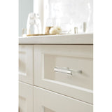 Amerock Esquire 3-in or 3-3/4-in (76Mm or 96mm) Center to Center Dual Mount Cylindrical Bar Drawer Pull