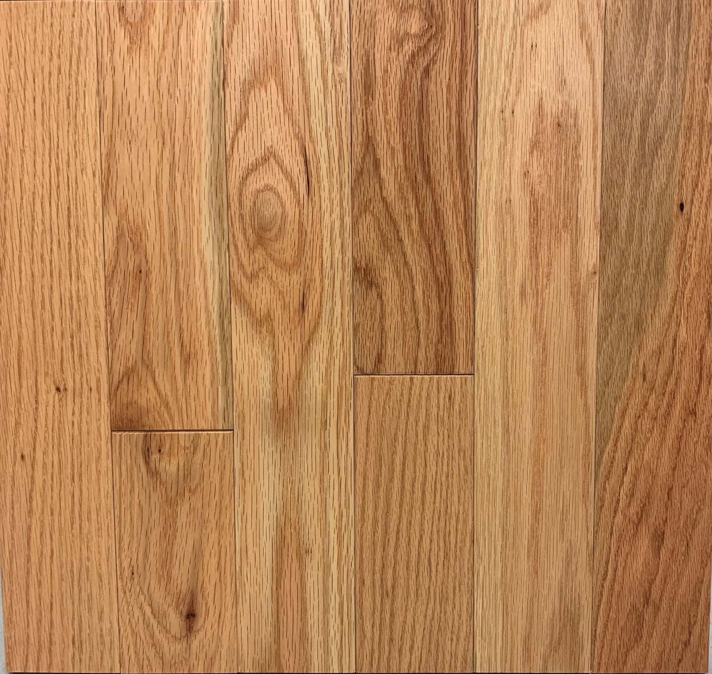 allen + roth Oak Natural hardwood flooring — primary plank view