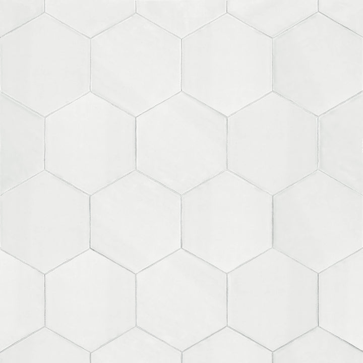 Satori Talesso Snowfall 6-in x 7-in Glossy Ceramic Encaustic Hexagon Wall Tile product image
