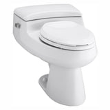 San Raphael Comfort Height 1-Piece 1.0 GPF Single Flush Elongated Toilet in Thunder Grey, Seat Included - Super Arbor