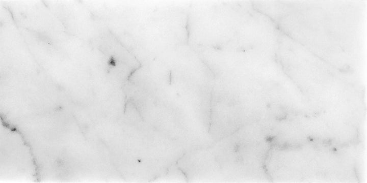 Apollo Tile (Sample) White 3-in x 6-in Honed Marble Floor and Wall Tile