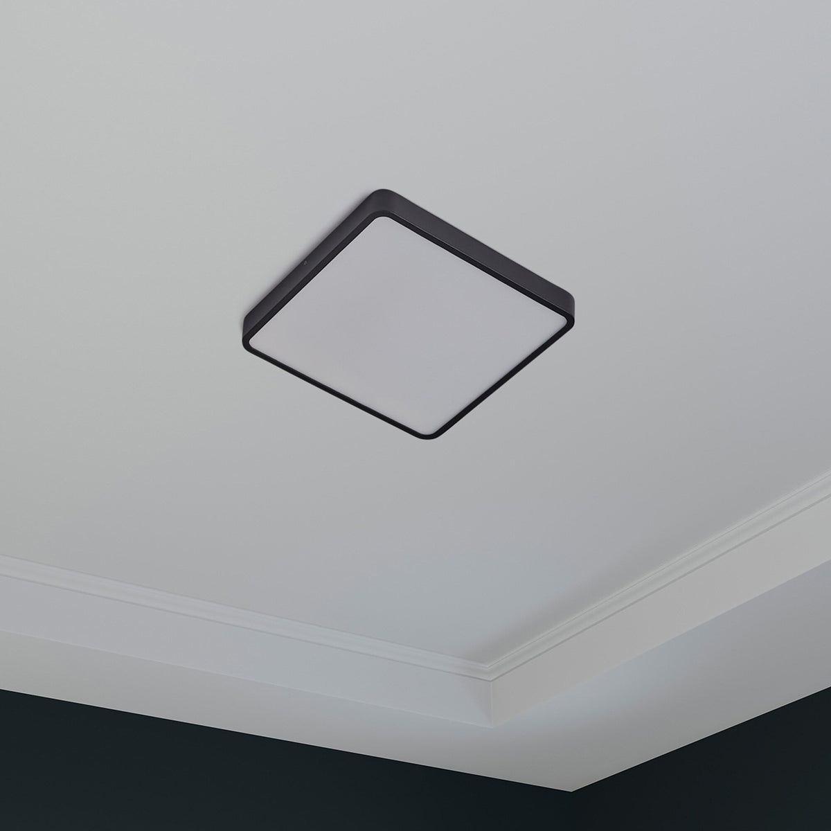 Project Source 13-in Black Integrated LED Flush Mount Ceiling Light, ENERGY STAR, 3000K
