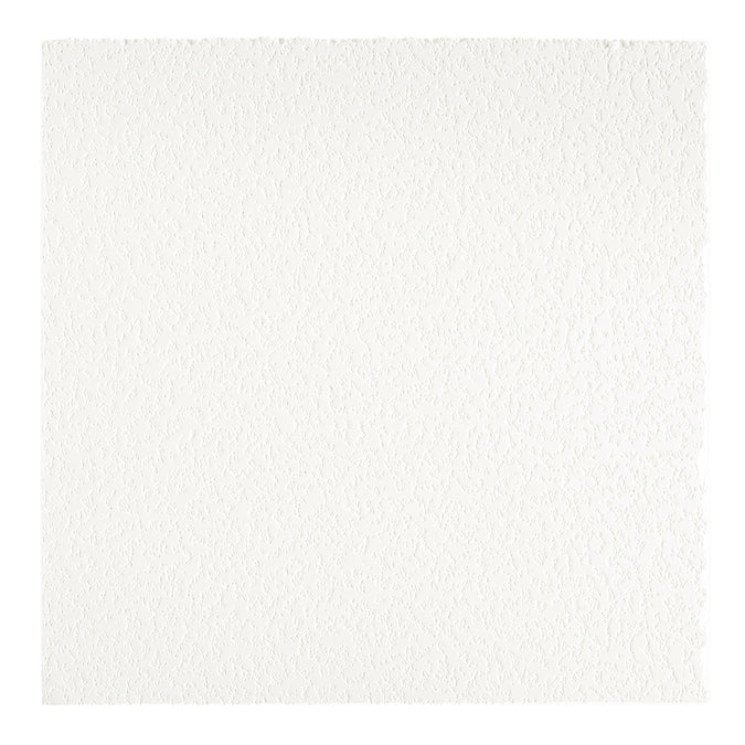 Armstrong Ceilings Easy Elegance White PVC Drop Ceiling Tile Sample