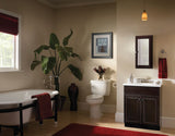Style Selections 15.75-in x 25.75-in Surface/Recessed Mount Java Mirrored Medicine Cabinet