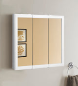 Project Source 24.25-in x 24-in Surface Mount White Mirrored Medicine Cabinet