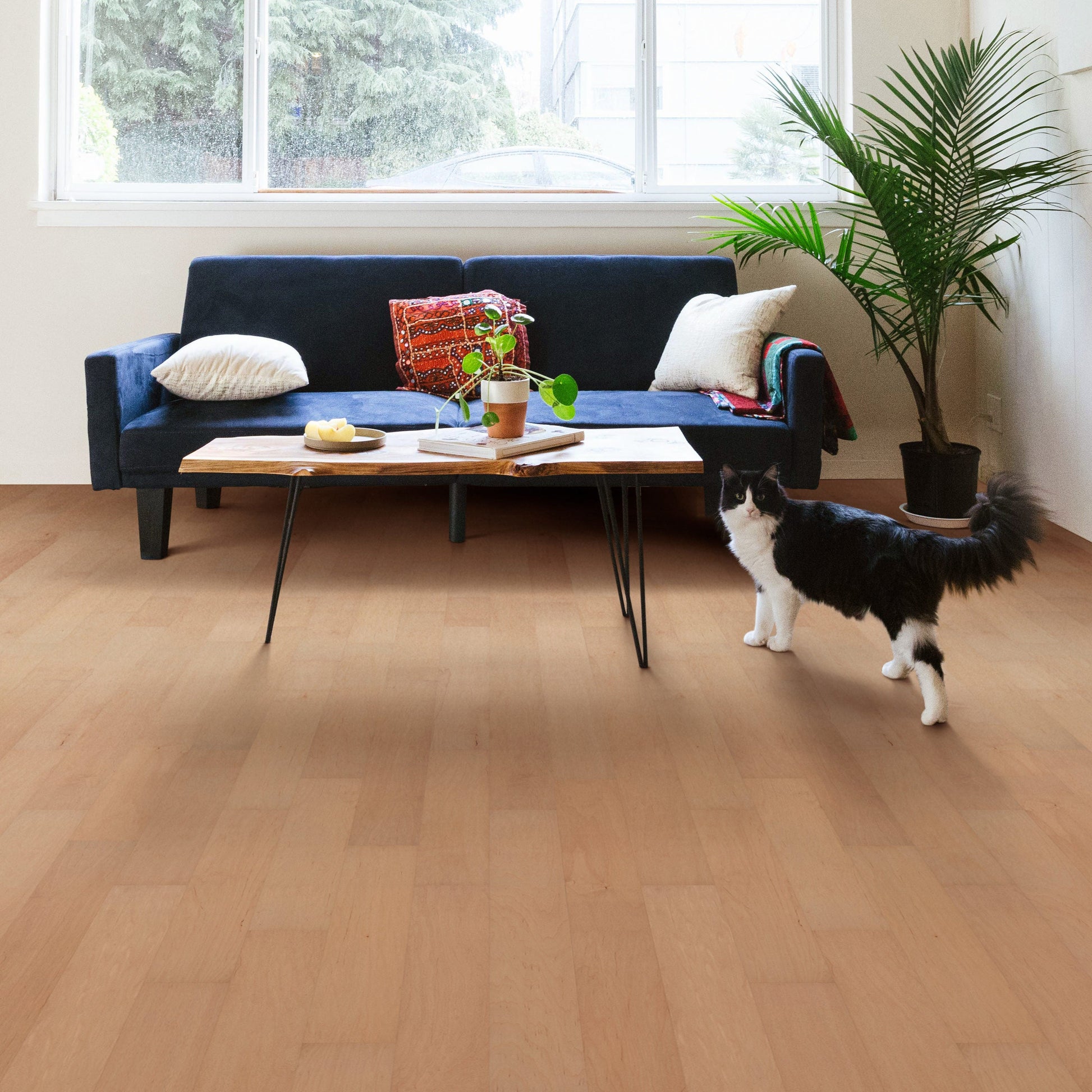 SMARTCORE Maple Monteagle hardwood flooring — installed room view