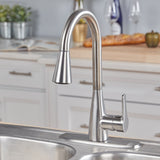 Project Source Ellesburg Stainless Steel 1-Handle Deck-Mount Pull-Down Kitchen Faucet with Sprayer (Deck Plate Included)