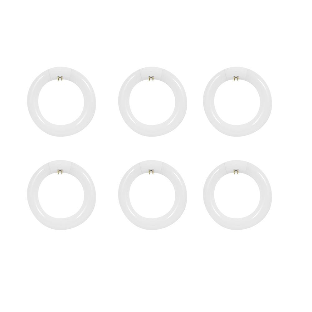 120-Watt Equivalent Circline T9 Non-Dimmable 4-Pin Base Compact Fluorescent CFL 9 in Light Bulb, Cool White 4100K - Super Arbor