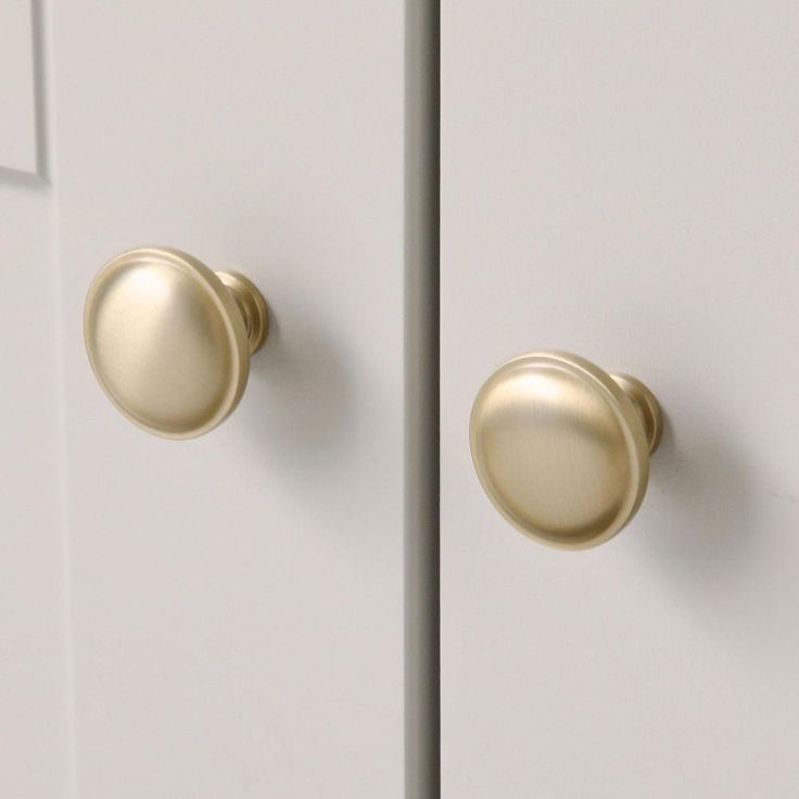 Domed 1-1/4 in. Champagne Classic Round Cabinet Knob (25-Pack)