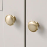 Domed 1-1/4 in. Champagne Classic Round Cabinet Knob (25-Pack)