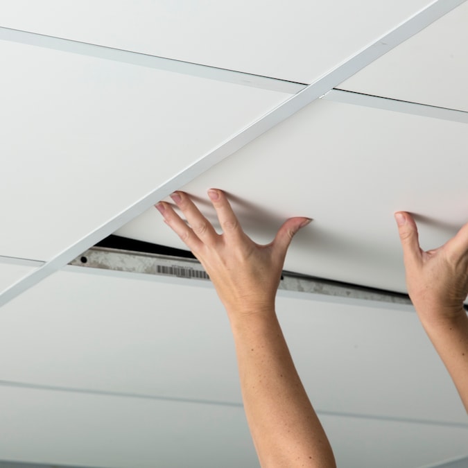 Genesis 4-ft x 2-ft Smooth Pro White PVC Drop Ceiling Tile (1-Pack, 8-sq ft / Case)