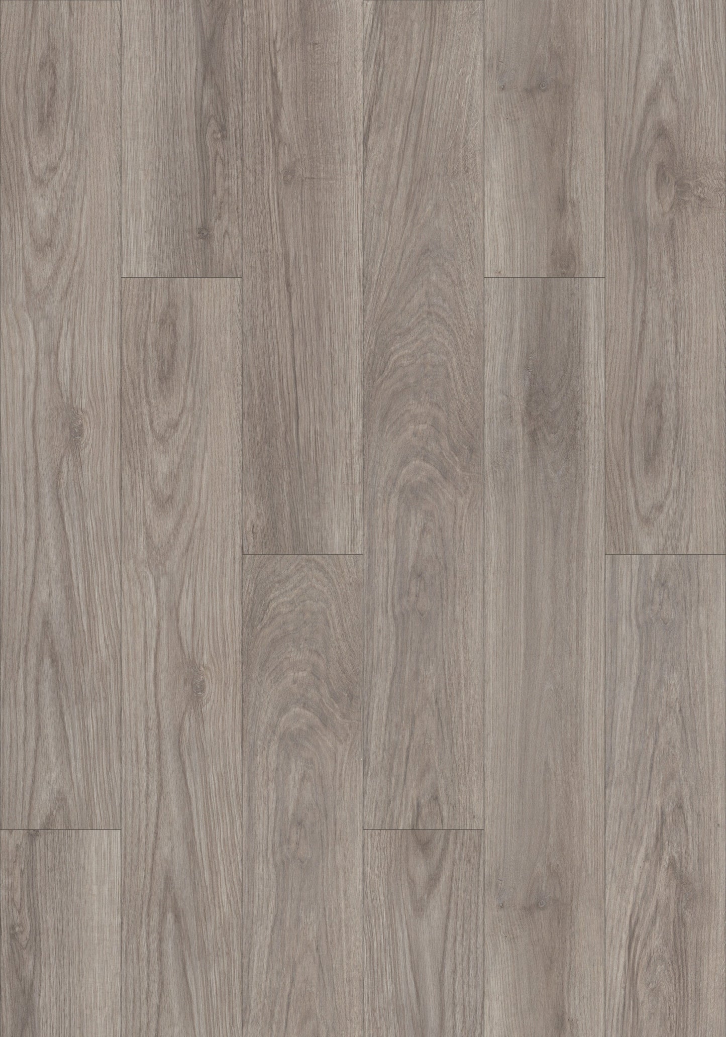 Shaw Rustic Design Homestead Oak Gray 12-mil x 7-in W x 48-in L Waterproof Interlocking Luxury Vinyl Plank Flooring (18.91-sq ft/ Carton)