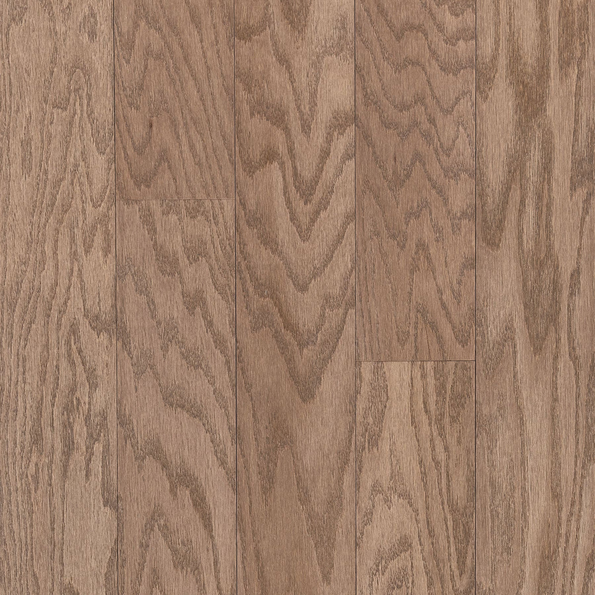 Bruce (Sample) Frisco Good Natured Oak Engineered Smooth/Traditional Hardwood Flooring