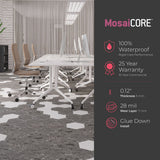 Lucida USA Pumice Braid Gray Patterned Look 28-mil x 10-in W x 16-in L Waterproof Glue Down Luxury Vinyl Tile Flooring (15.15-sq ft/ Carton)