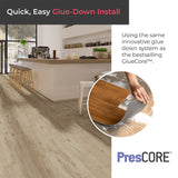 Lucida USA PresCore Toasted Gray 12-mil x 6-in W x 36-in L Waterproof Glue Down Luxury Vinyl Plank Flooring (54-sq ft/ Carton)