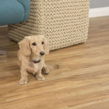 CALI Pro Classic Blonde Ale Brown 20-mil x 7-in W x 48-in L Waterproof Interlocking Luxury Vinyl Plank Flooring (23.77-sq ft/ Carton)
