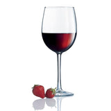 Cachet 19 oz. Tulip Party Pack (Set of 12)