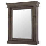 Home Decorators Collection Naples 25 in. W x 31 in. H Rectangular Medicine Cabinet with Mirror