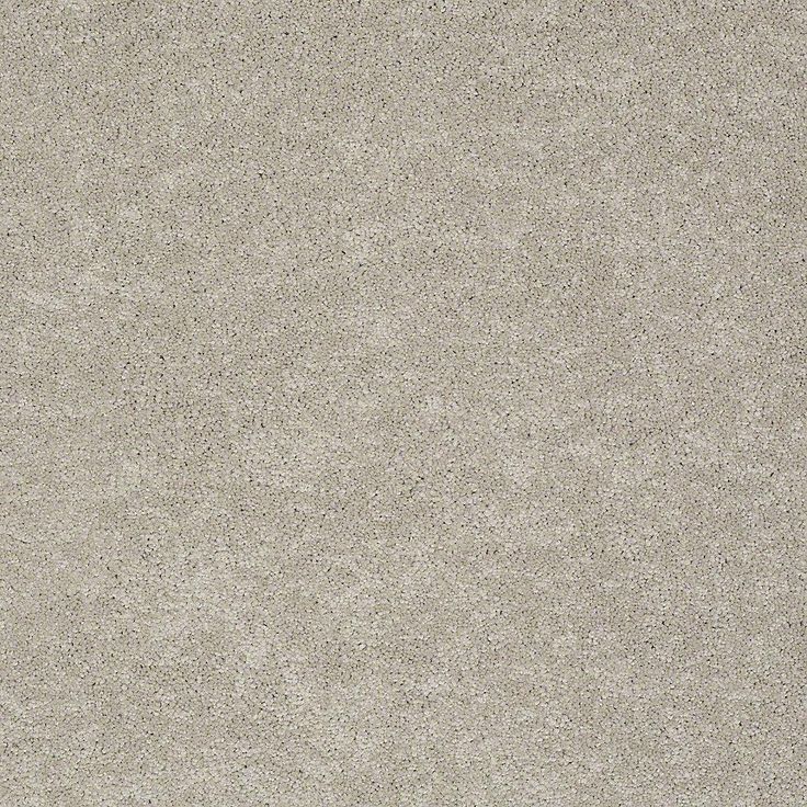 STAINMASTER PetProtect Baxter II Harley Textured Carpet (Indoor)
