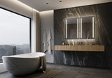 PARIS MIRROR Stella Cabinet 48-in x 36-in Lighted LED Surface Mount 6000K Mirrored Soft Close Medicine Cabinet