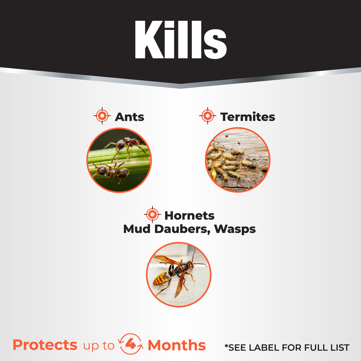 Bonide Revenge Termite & Carpenter Ant Killer, Ready-to-Use, 1 Gallon