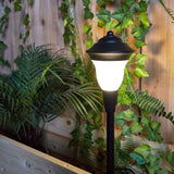 Progress Lighting 1.5-Watt Black Low Voltage Plug-in LED Path Light, 90 Lumens, 17.5-in