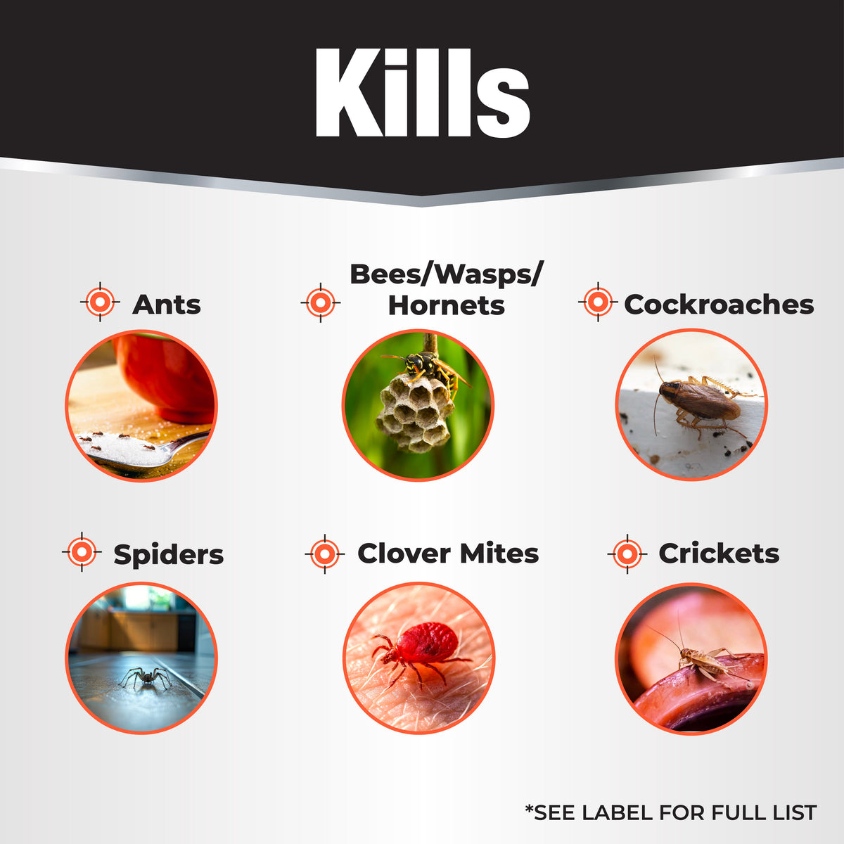 Bonide Revenge Spider & Ground Bee Killer Dust, 10 oz Puffer